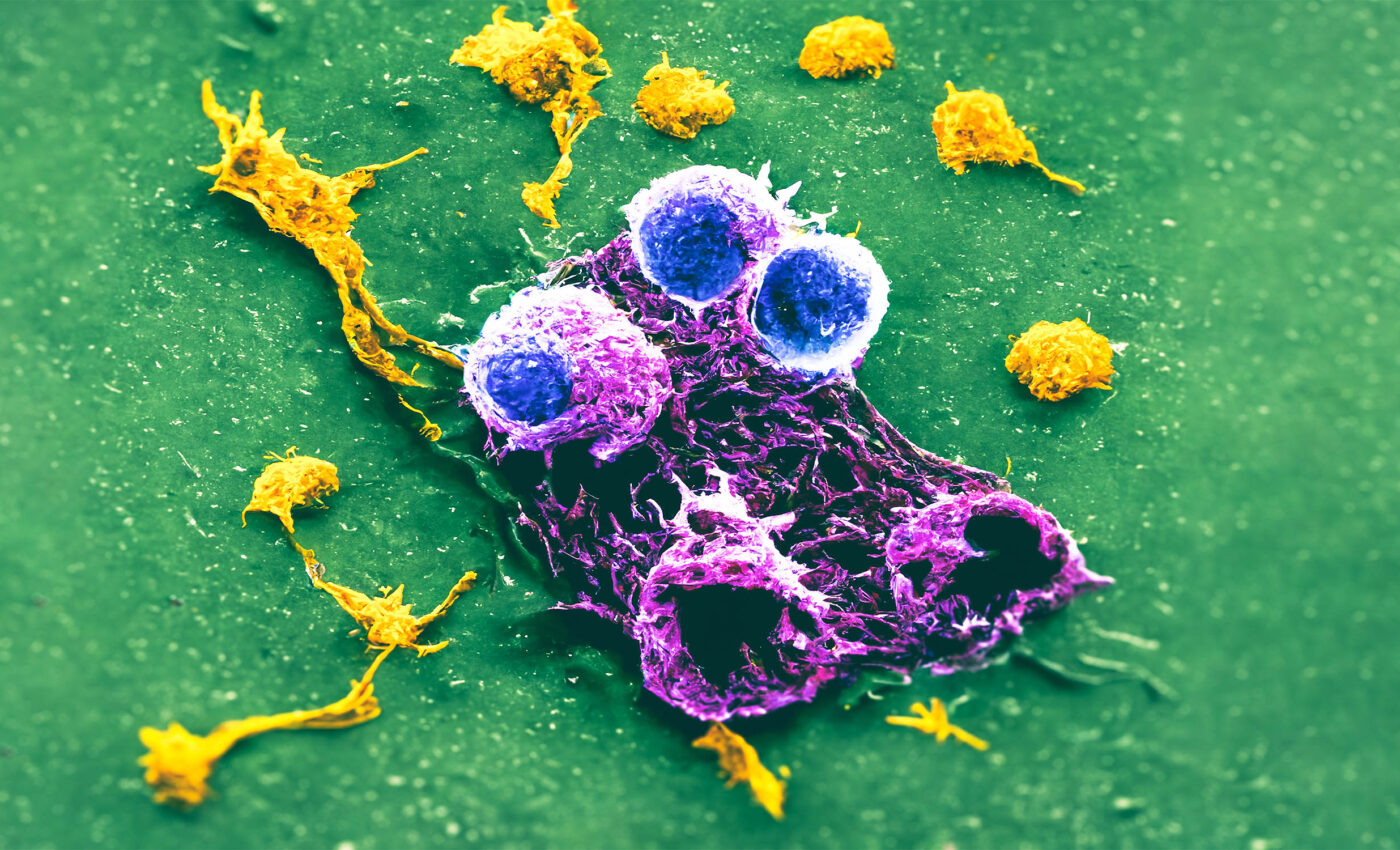 Plant virus that attacks black-eyed peas also kills cancer tumors