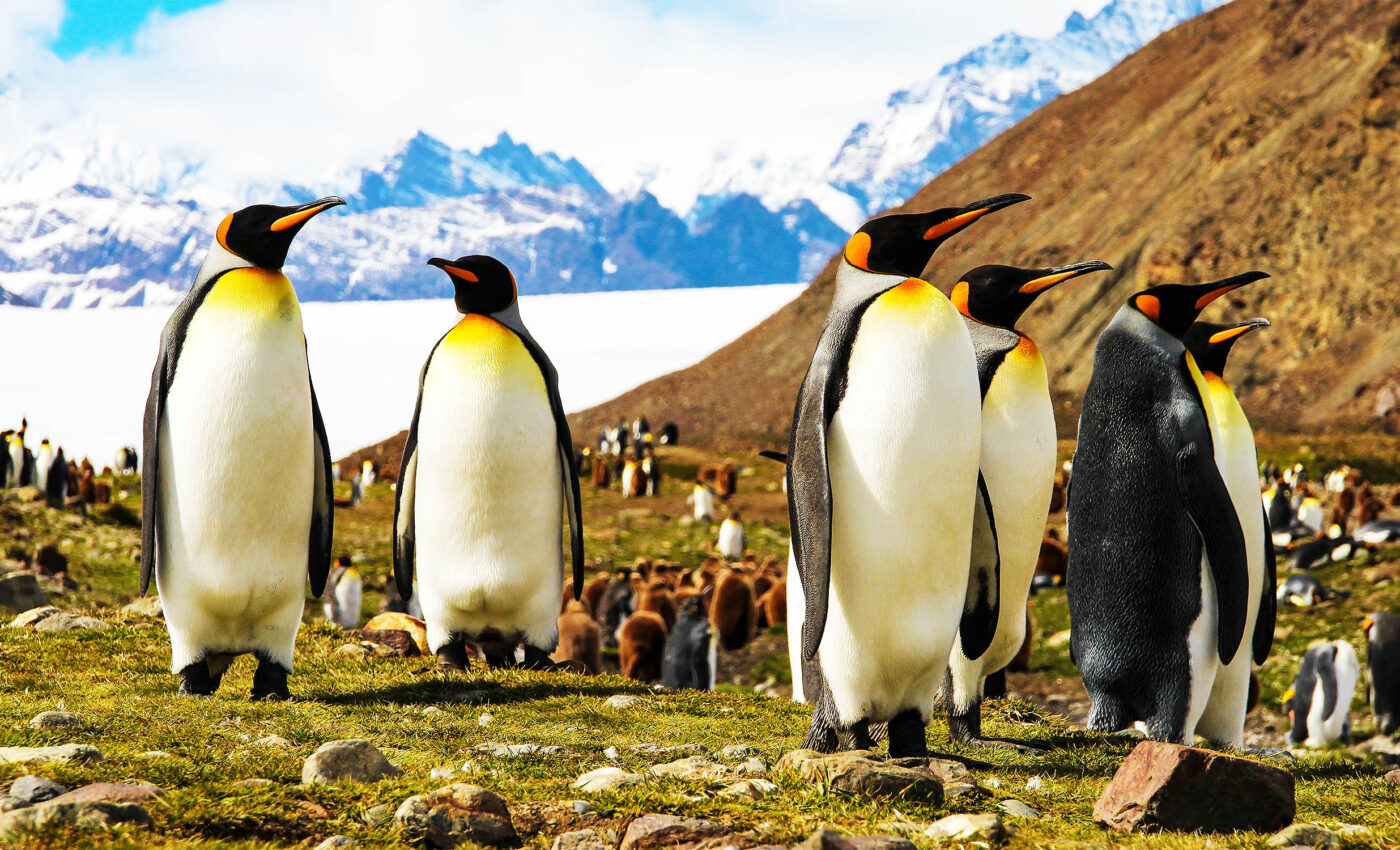 Record low Antarctic sea ice, rapid melting pace, stuns climate scientists