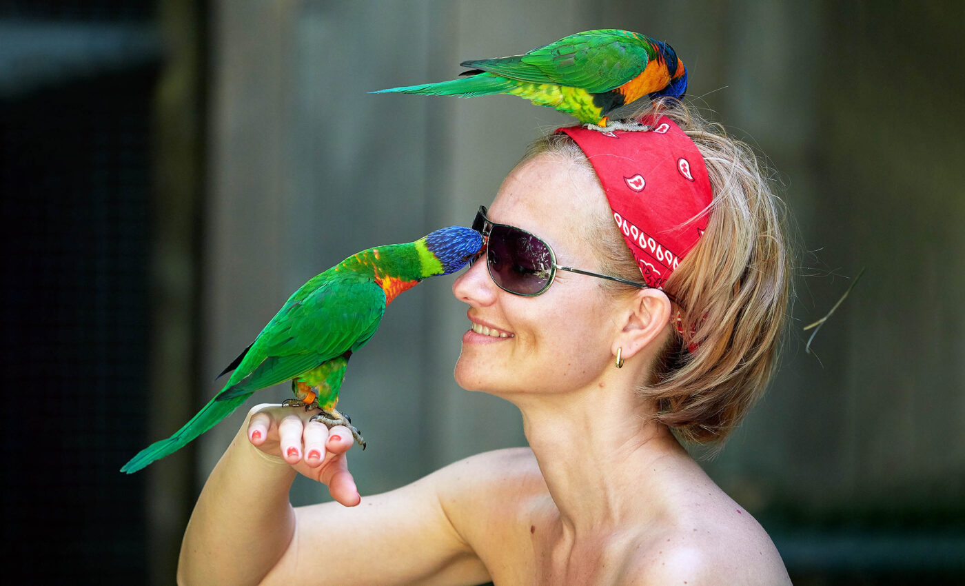 Bird songs and human speech have a common vocal genetic origin