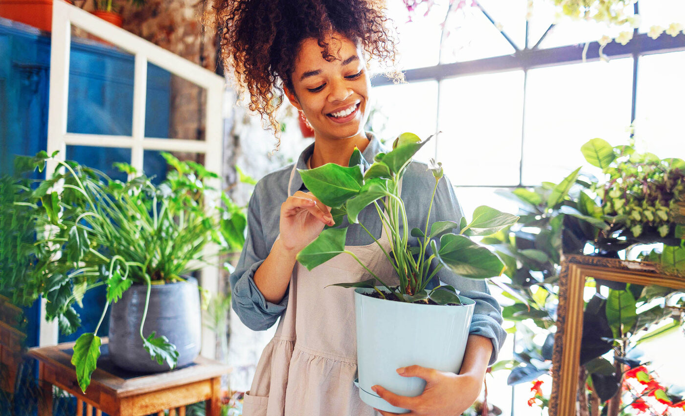 Indoor gardening has many surprising health benefits