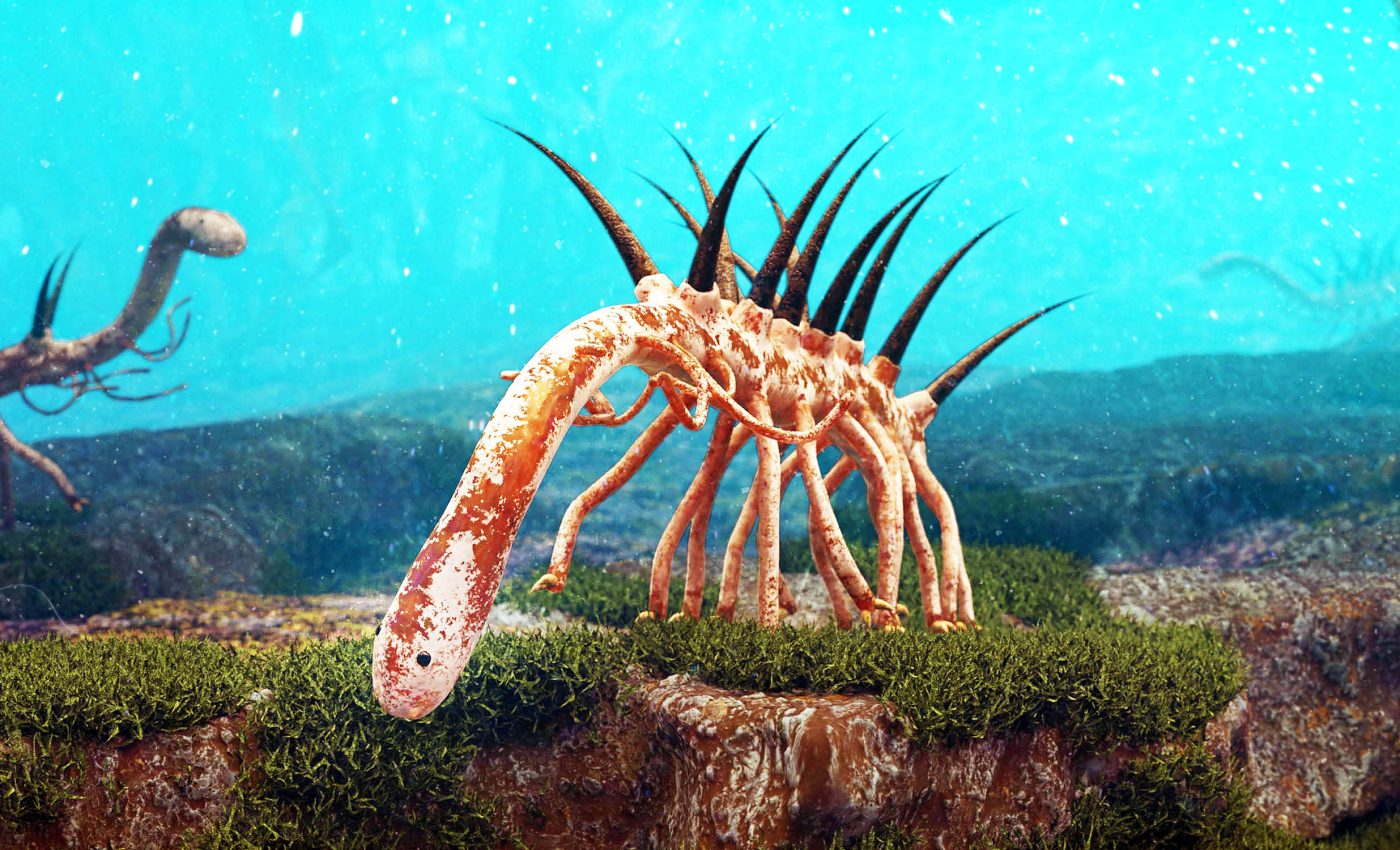 Tiny worms sparked explosive evolutionary period of life on Earth