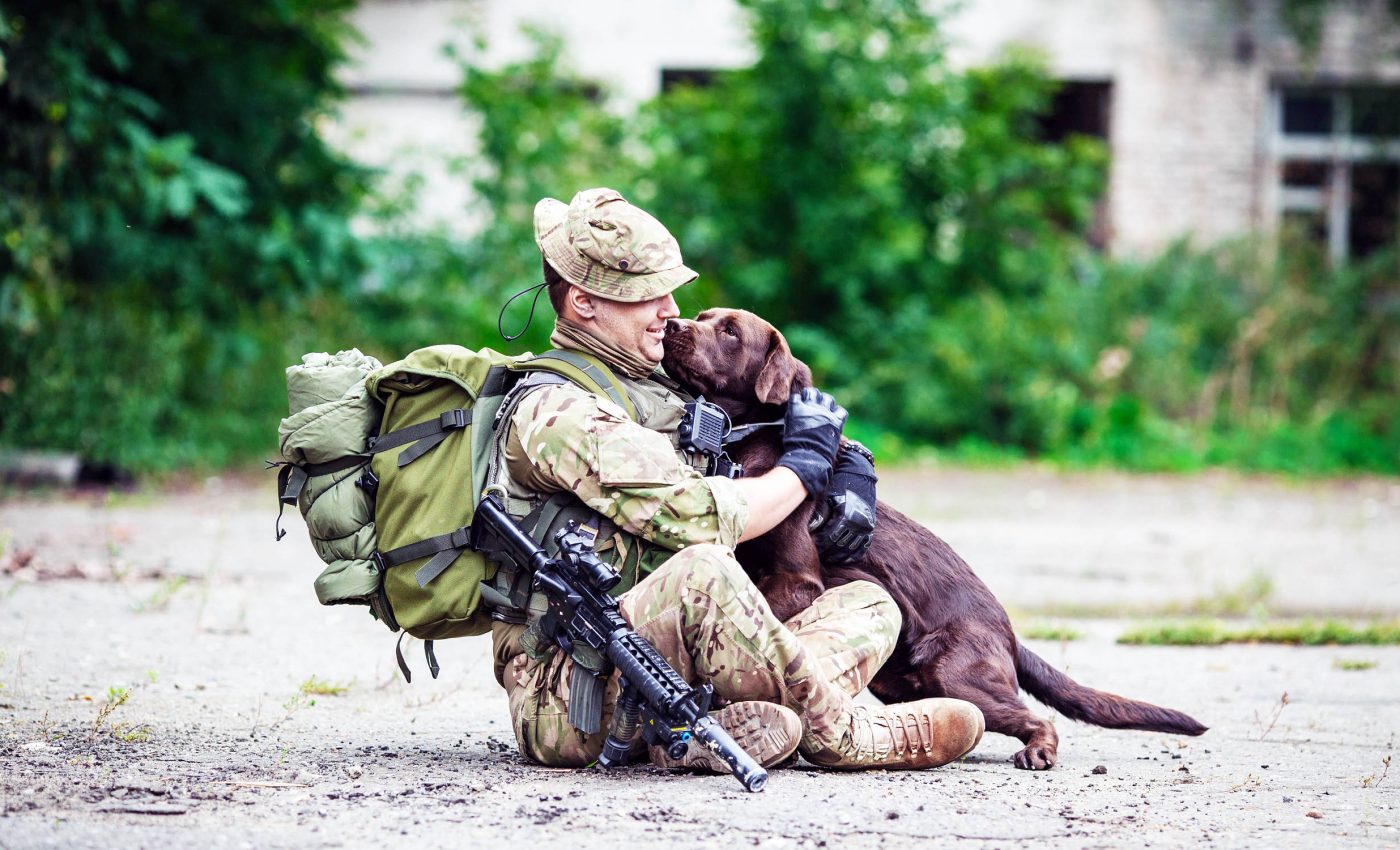 Service dogs reduce anxiety and depression in veterans