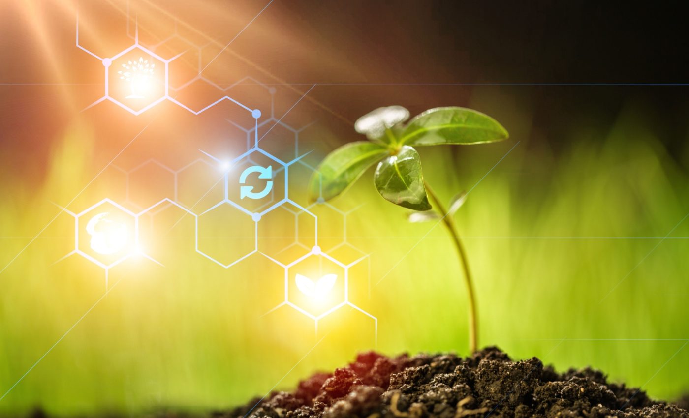 Unleashing the potential of nanotechnology in agriculture