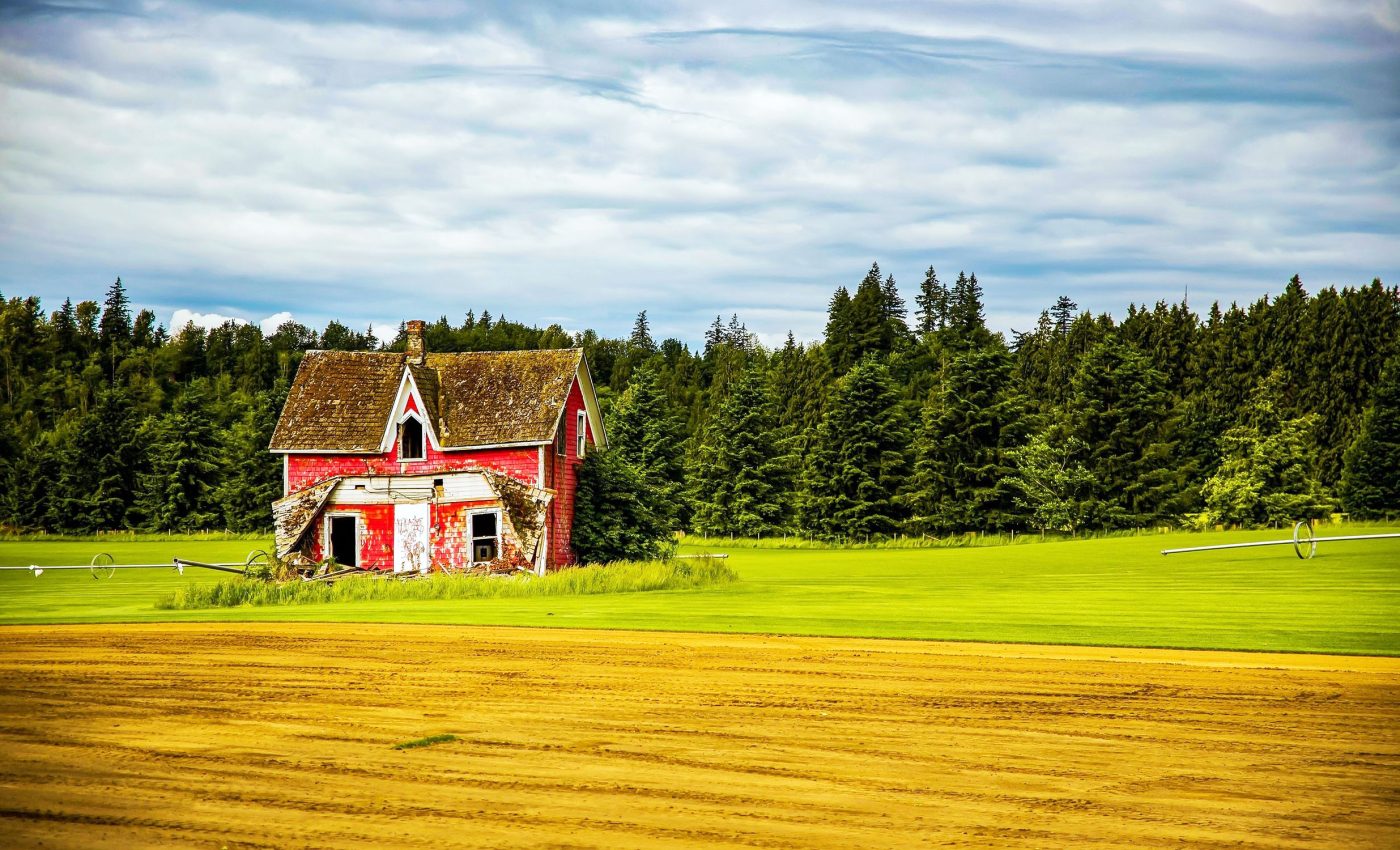 Abandoned farmland can be used for climate change mitigation