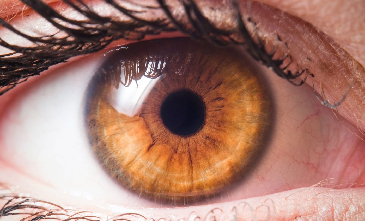 Pupil size reveals hidden cognitive fatigue