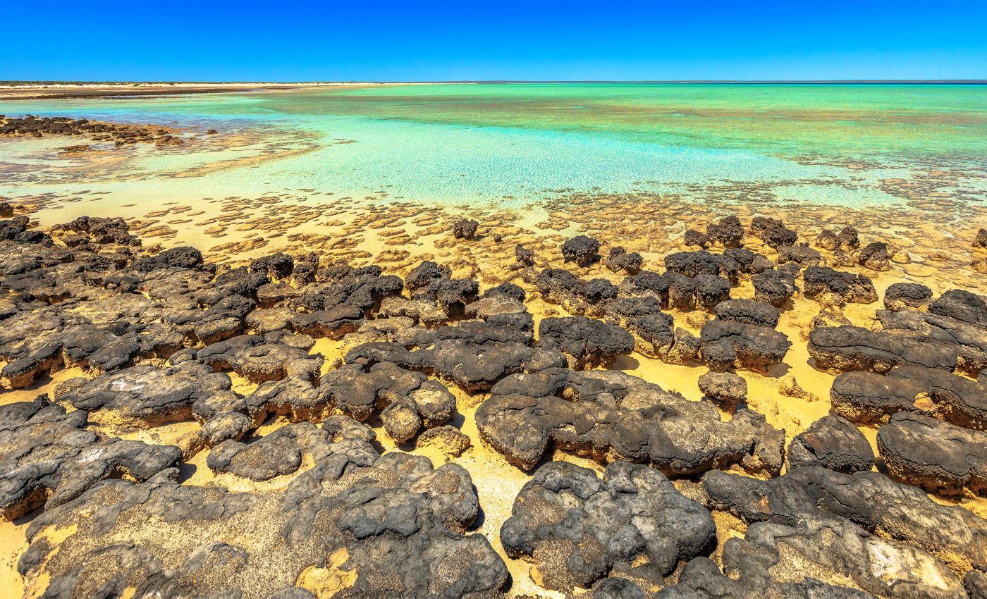 Stromatolites found in the Red Sea offer new clues to the earliest life on Earth