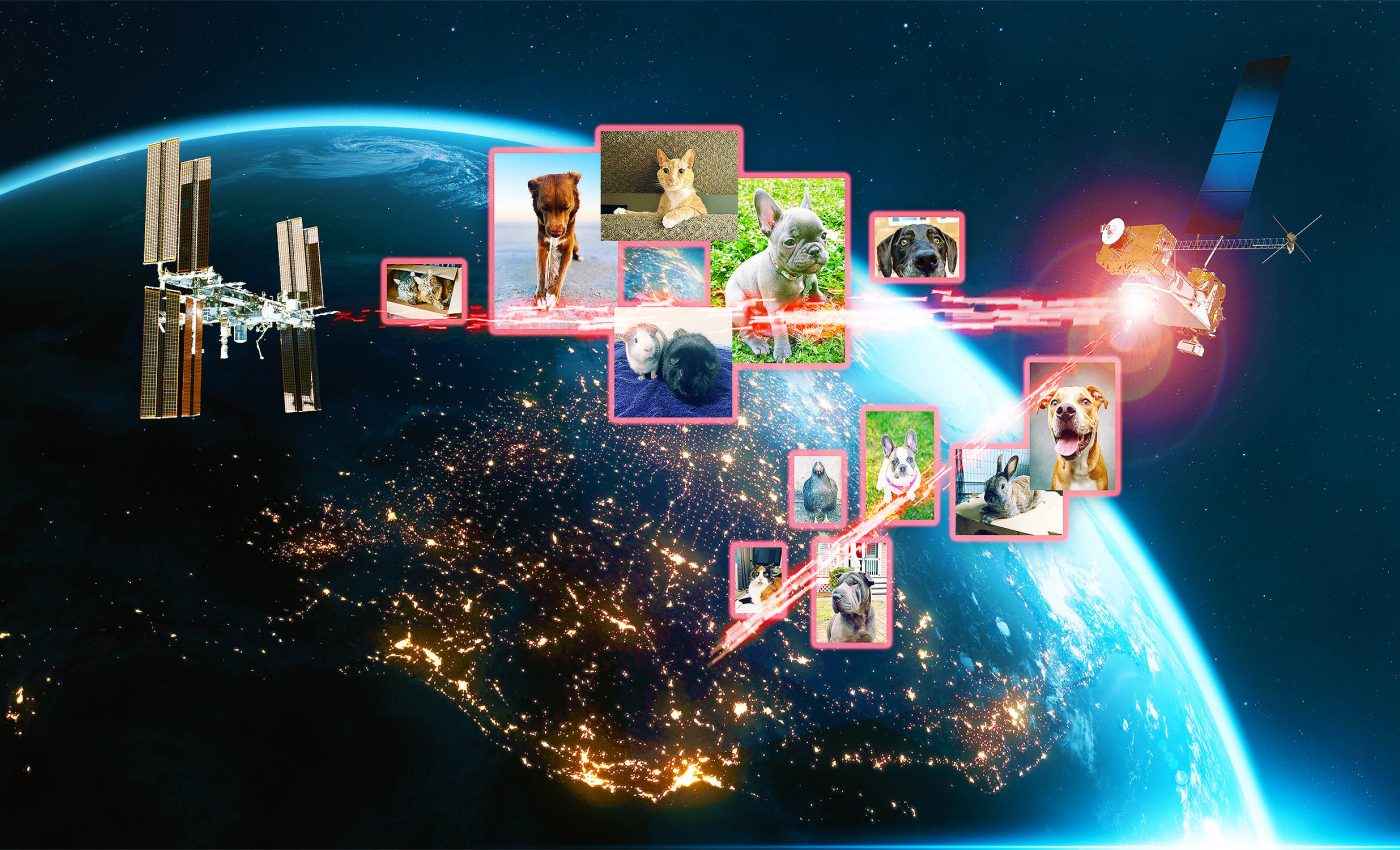 NASA sent pet photos to the space station using lasers