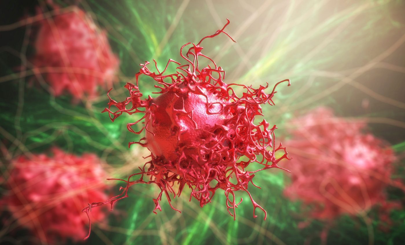 Many plant species show great promise in fight against cancer