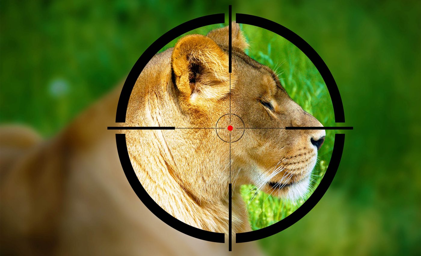 Does hunting and fishing connect humans with nature or reinforce superiority complex