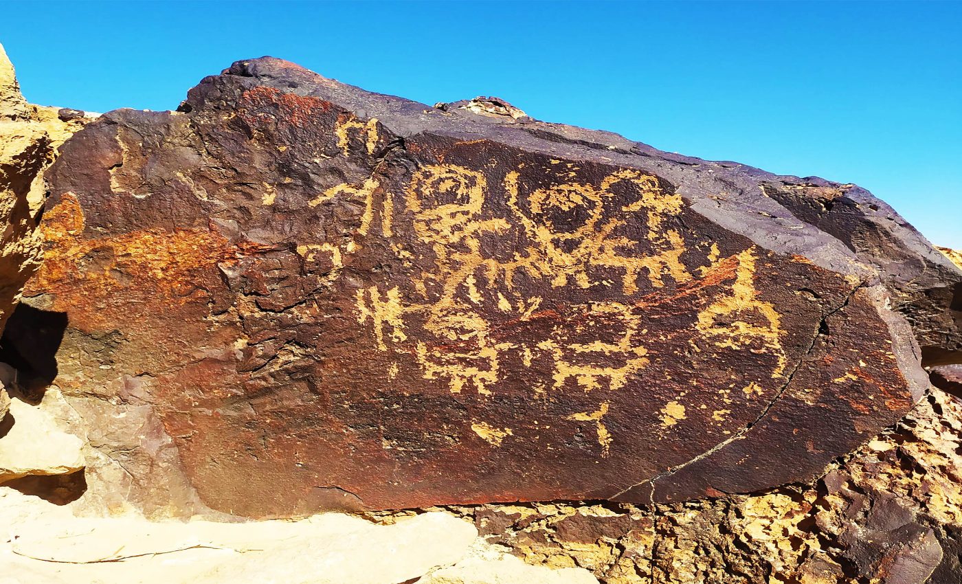Ancient desert rock carvings face erosion from fungi and lichens