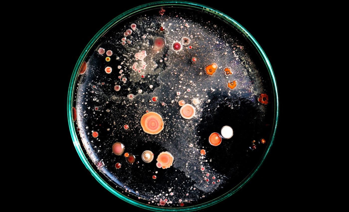 Microbes laid the foundation for early life on Earth