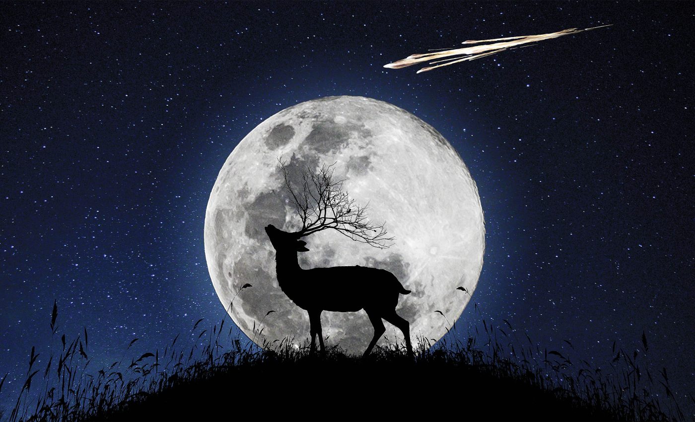 Full "Buck Moon" joins the Perseid meteor shower for a stellar show tonight