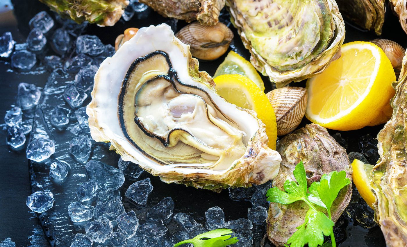 Oyster populations are rapidly declining due to ocean noise