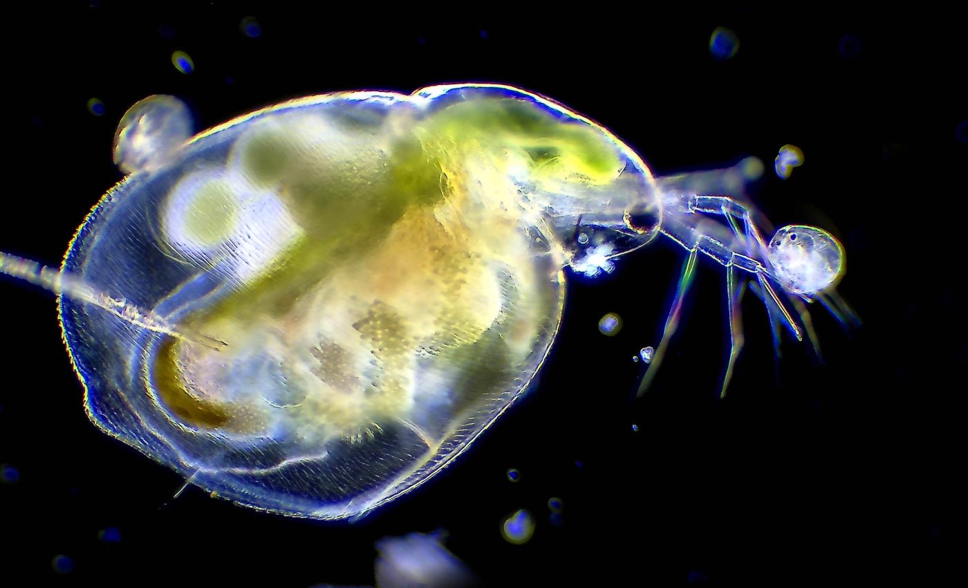 Life's rules of natural selection change significantly and very often