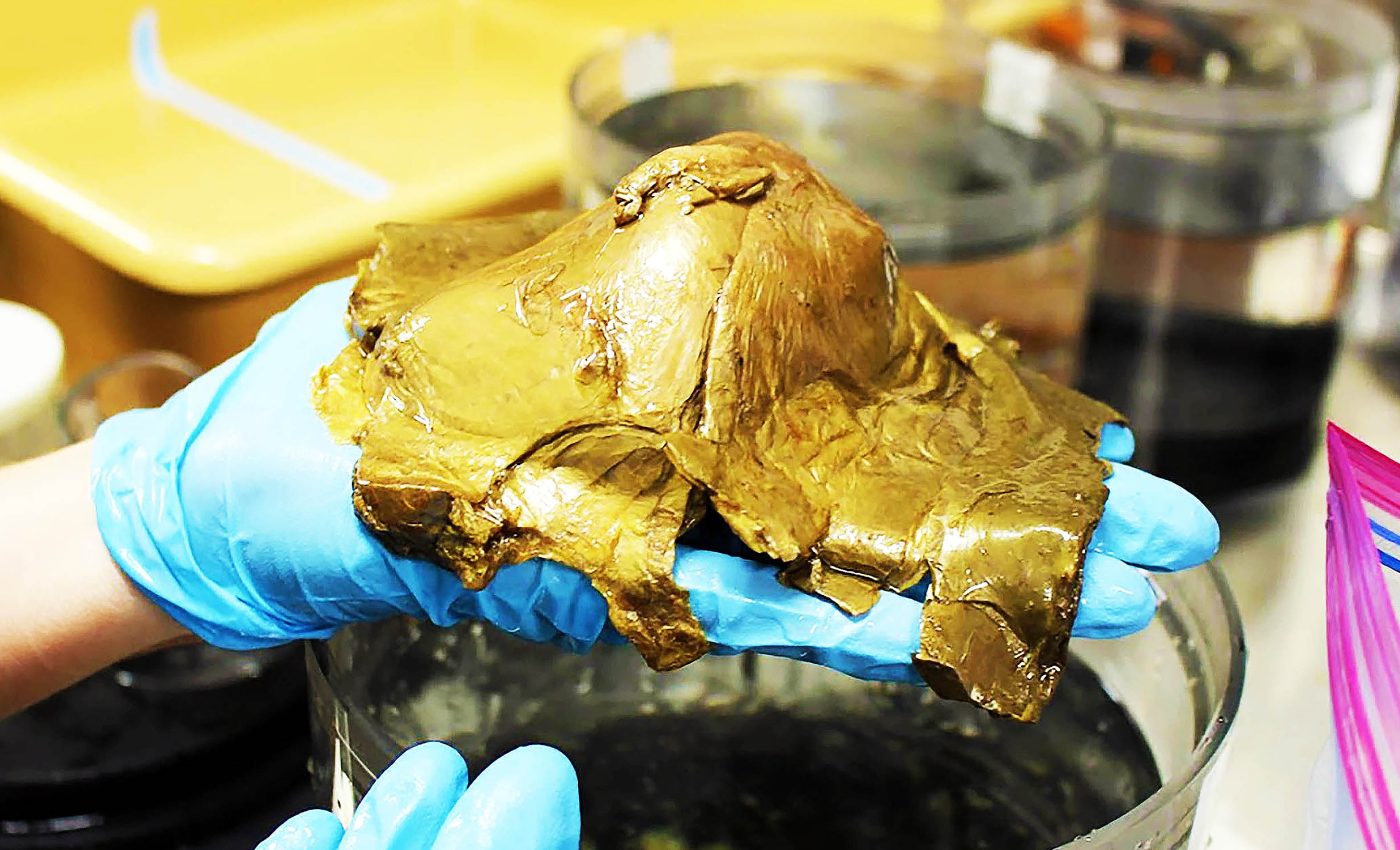 NOAA finds a 'golden orb' of unknown origin on a deep ocean expedition