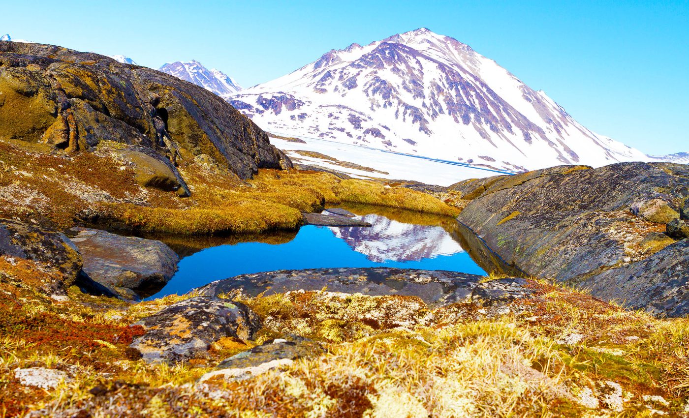 Increased risk of sea-level catastrophe confirmed by Greenland fossils