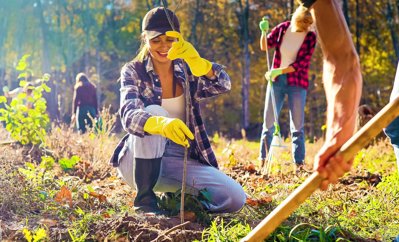 Forest restoration aids humans, nature, and climate together