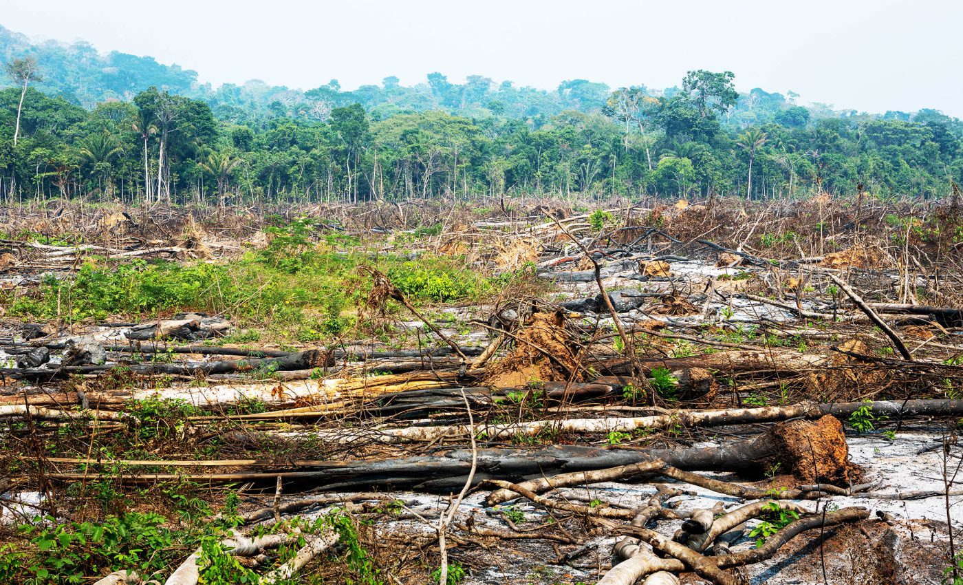 Using more land for agriculture will harm climate and biodiversity