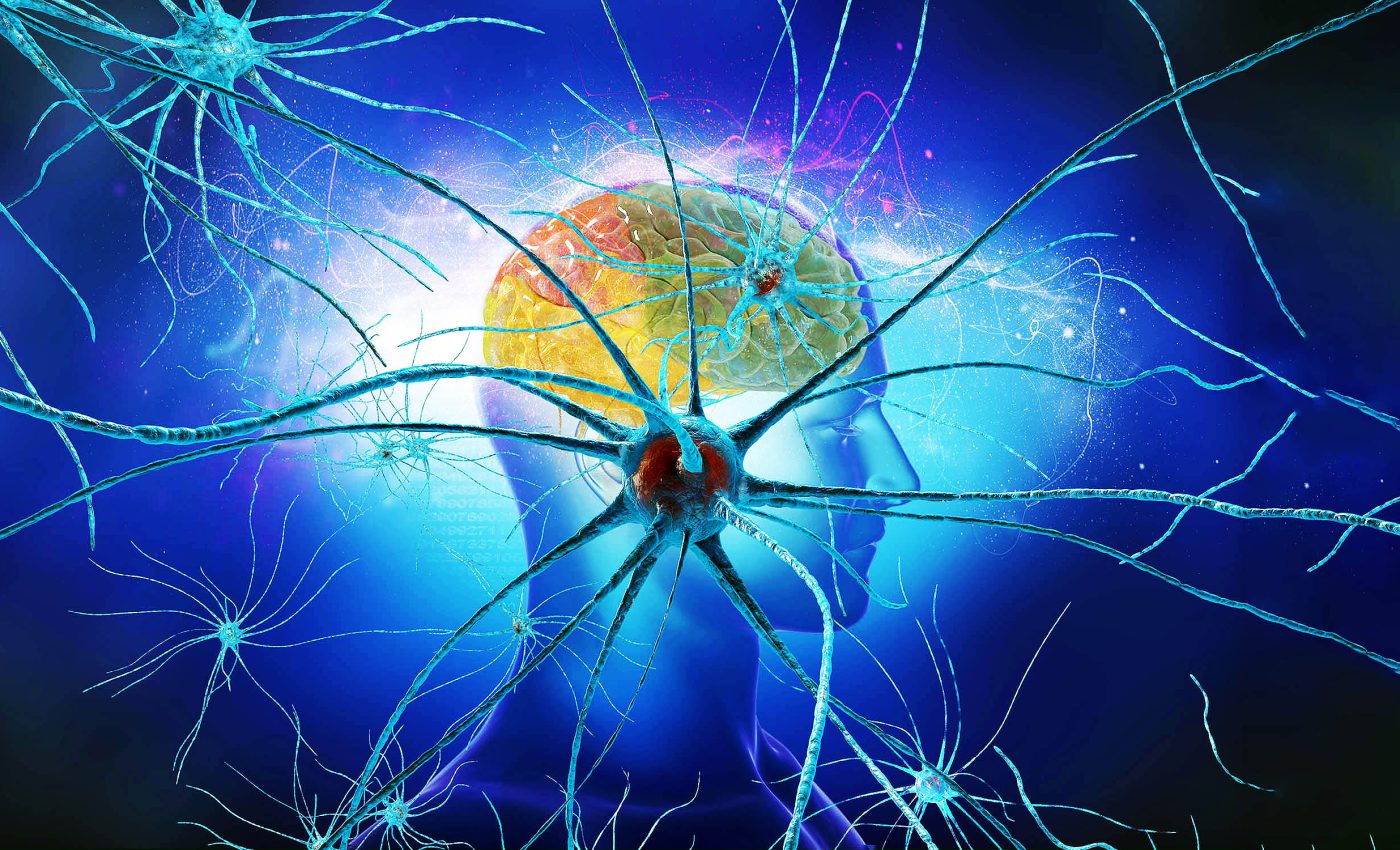 Quantum connection behind brain signals and human consciousness