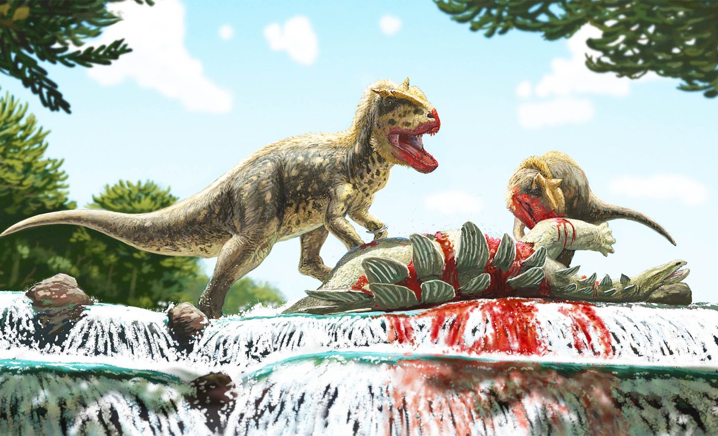 New dinosaur was a T. rex cousin and has a protruding 'eyebrow'