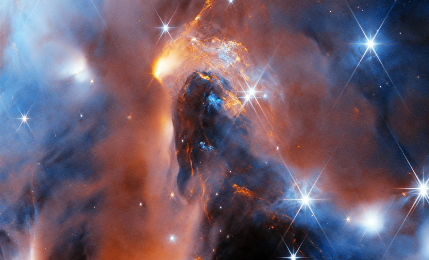 Six rogue worlds discovered inside a young star-forming nebula