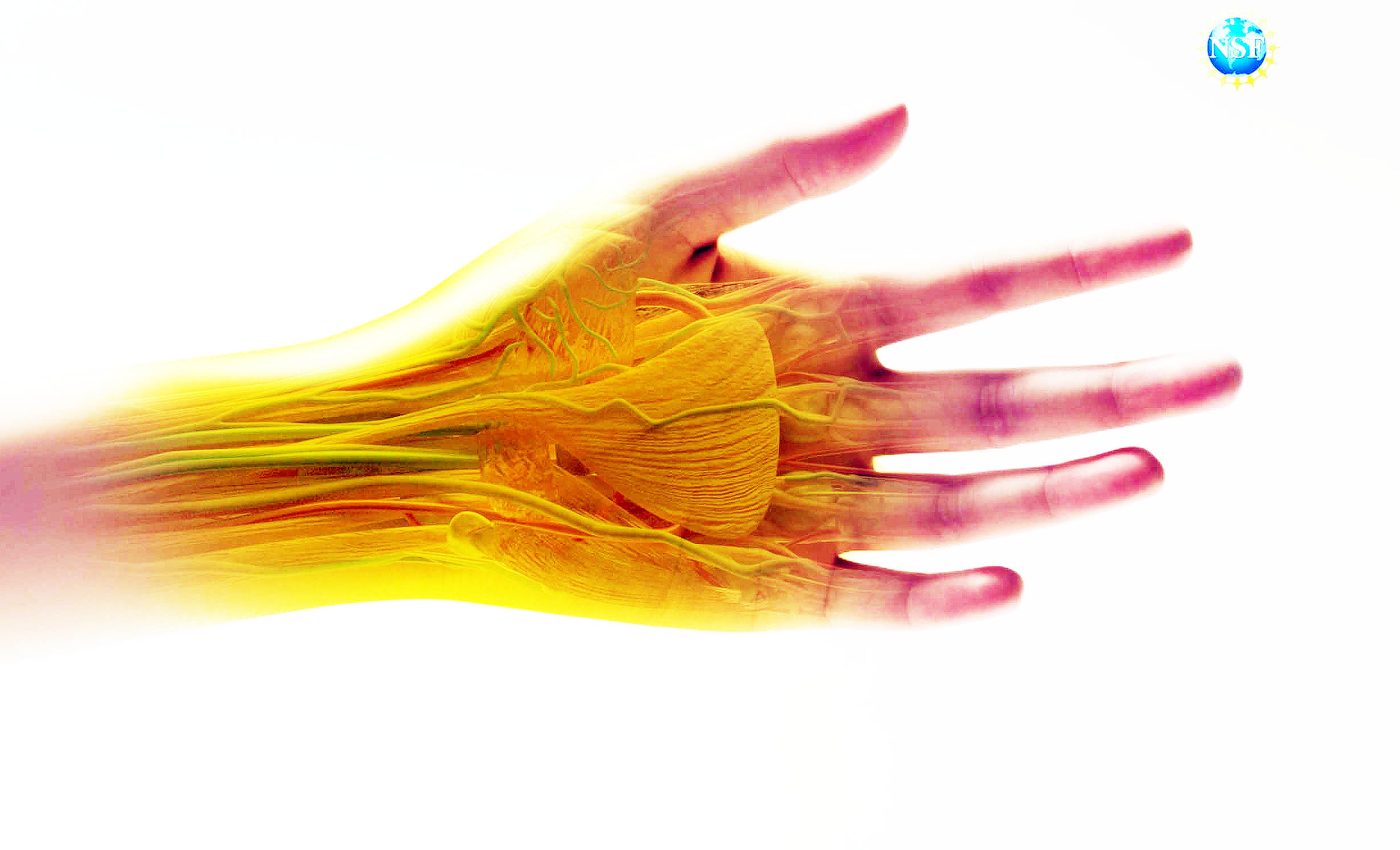 Common food dye makes skin 'invisible' for medical imaging