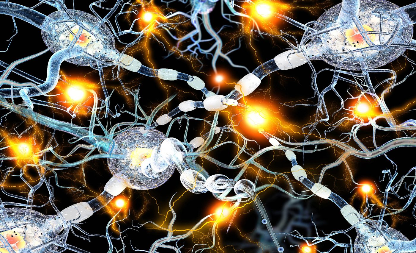 Sleep triggers the brain's 'reset switch' to make room for new memory the next day