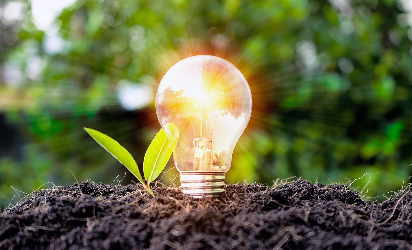 "Electric soil" boosts crop production and plant growth by 50% in just 15 days