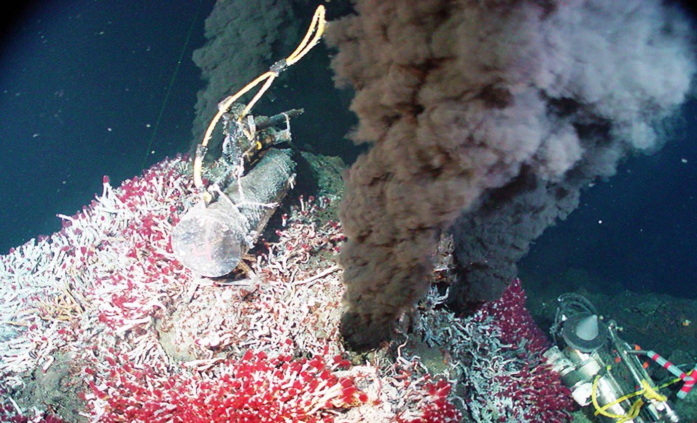 Deep-sea hydrothermal vents provide clues about the origin of life