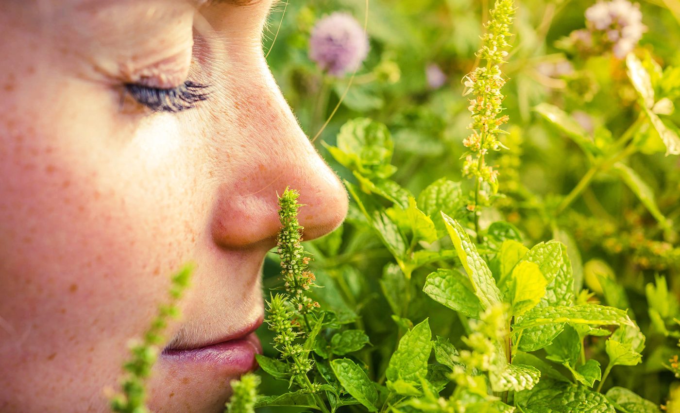 Our sense of smell detects odors in less time than it takes to blink