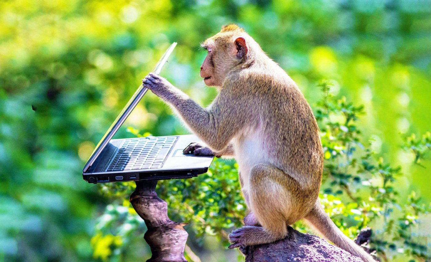 Infinite Monkey Theorem: If a monkey typed for infinity, could it recreate a Shakespeare play?