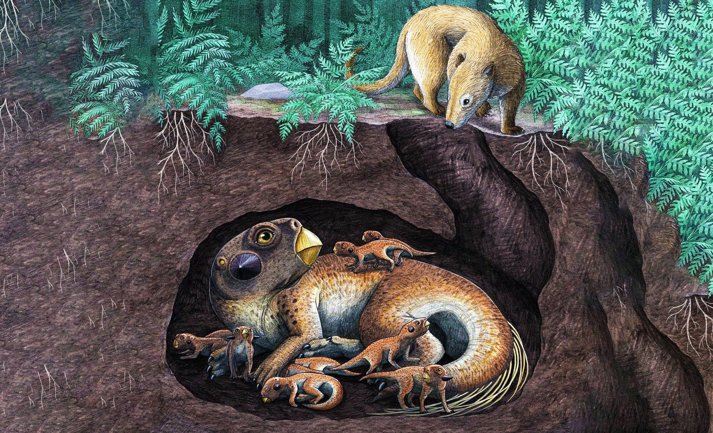 How did the world’s best-preserved dinosaurs die?