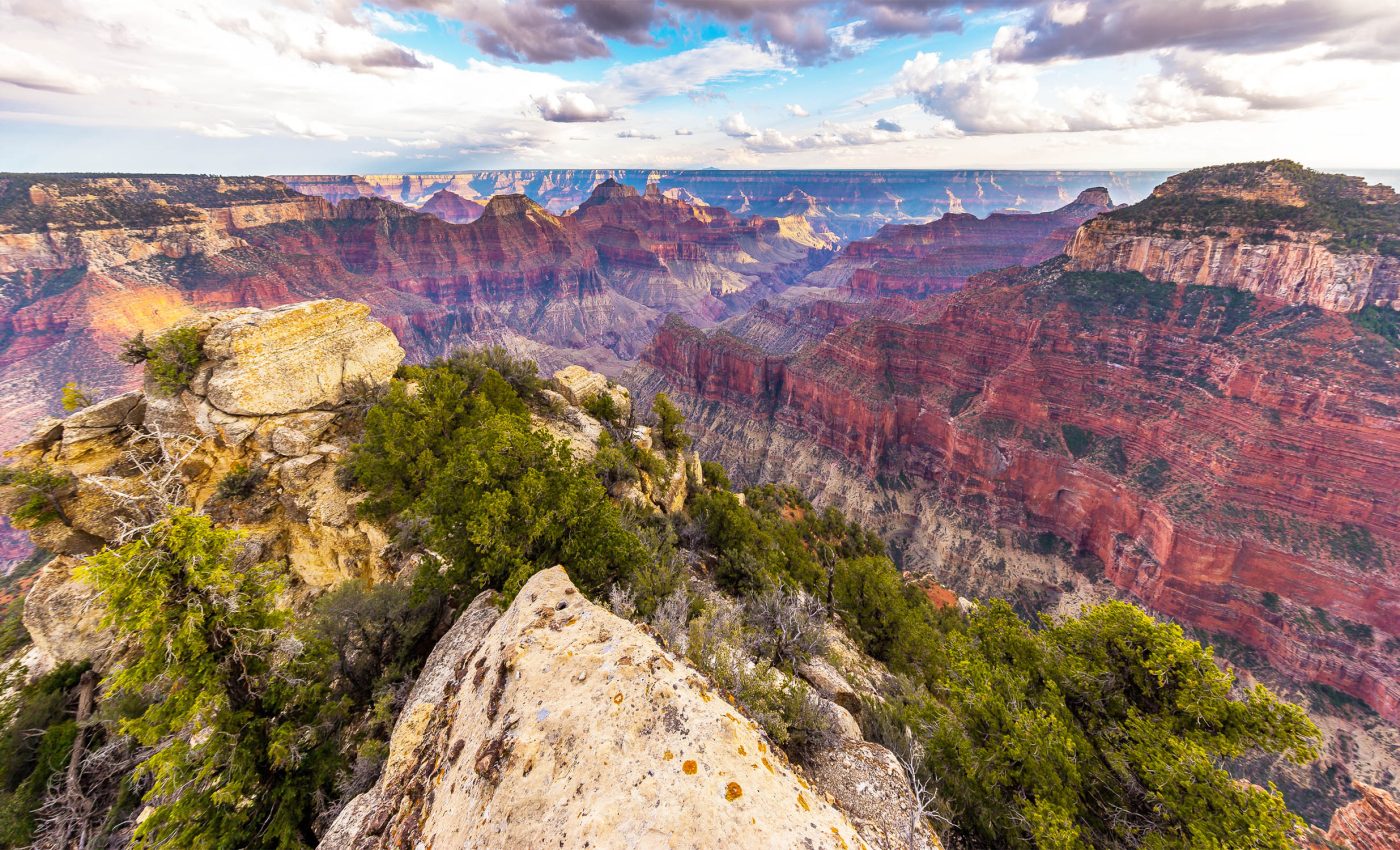 Grand Canyon fossils reveal secrets that are forcing a rewrite of evolution textbooks
