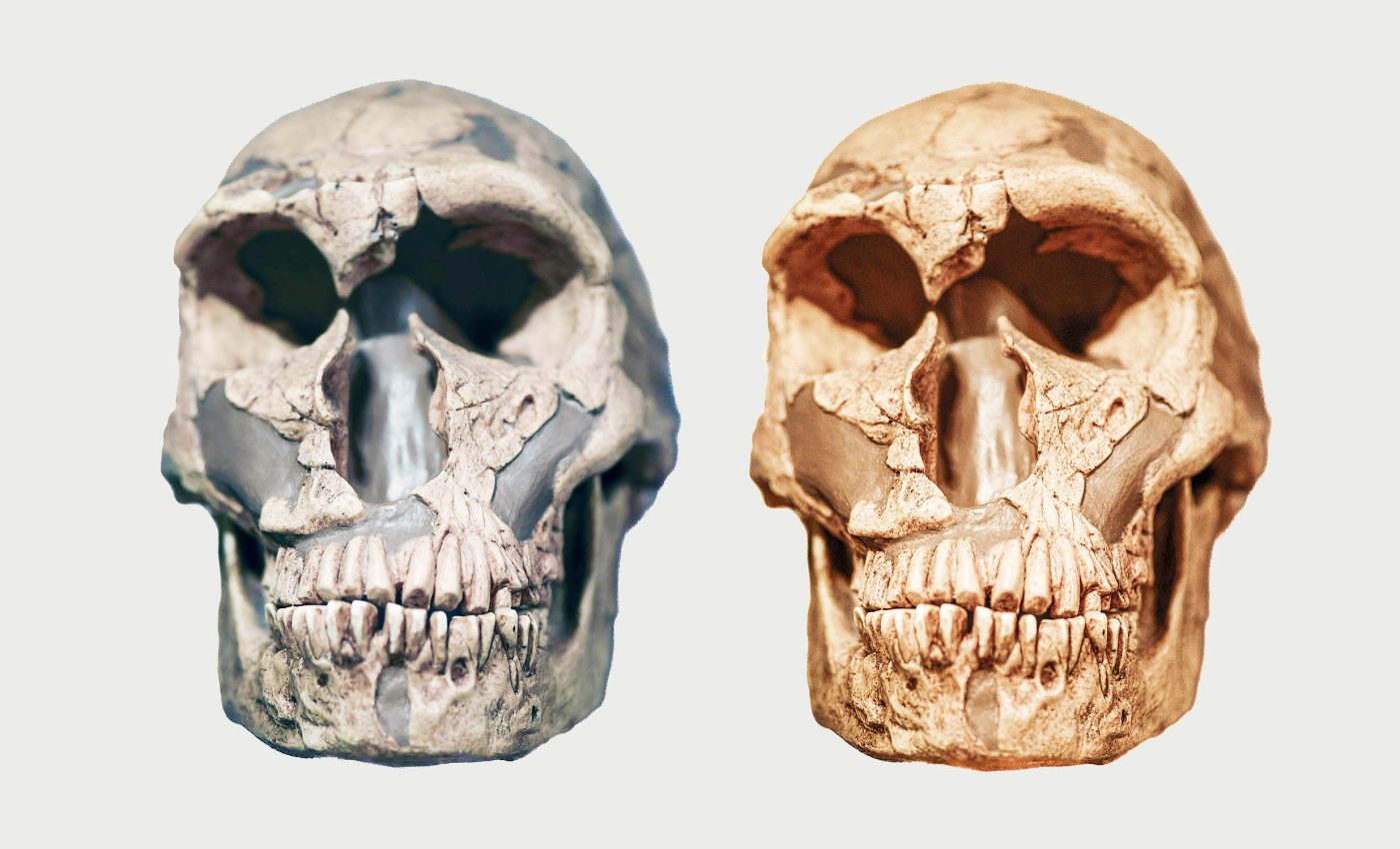 New human species discovered that seems to have vanished just 50,000 years ago