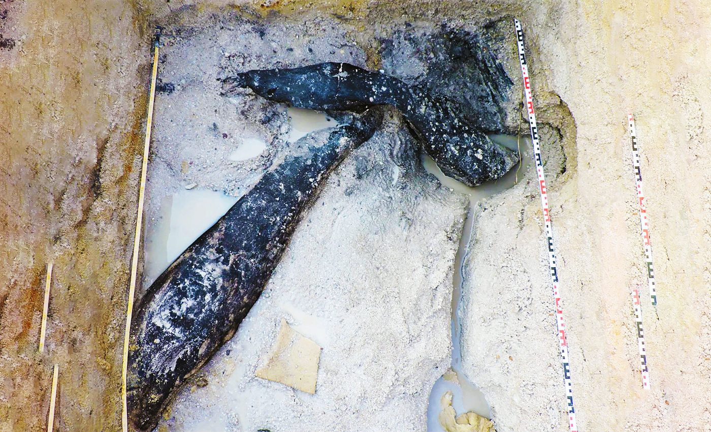 World's oldest wooden structure discovery rewrites human history