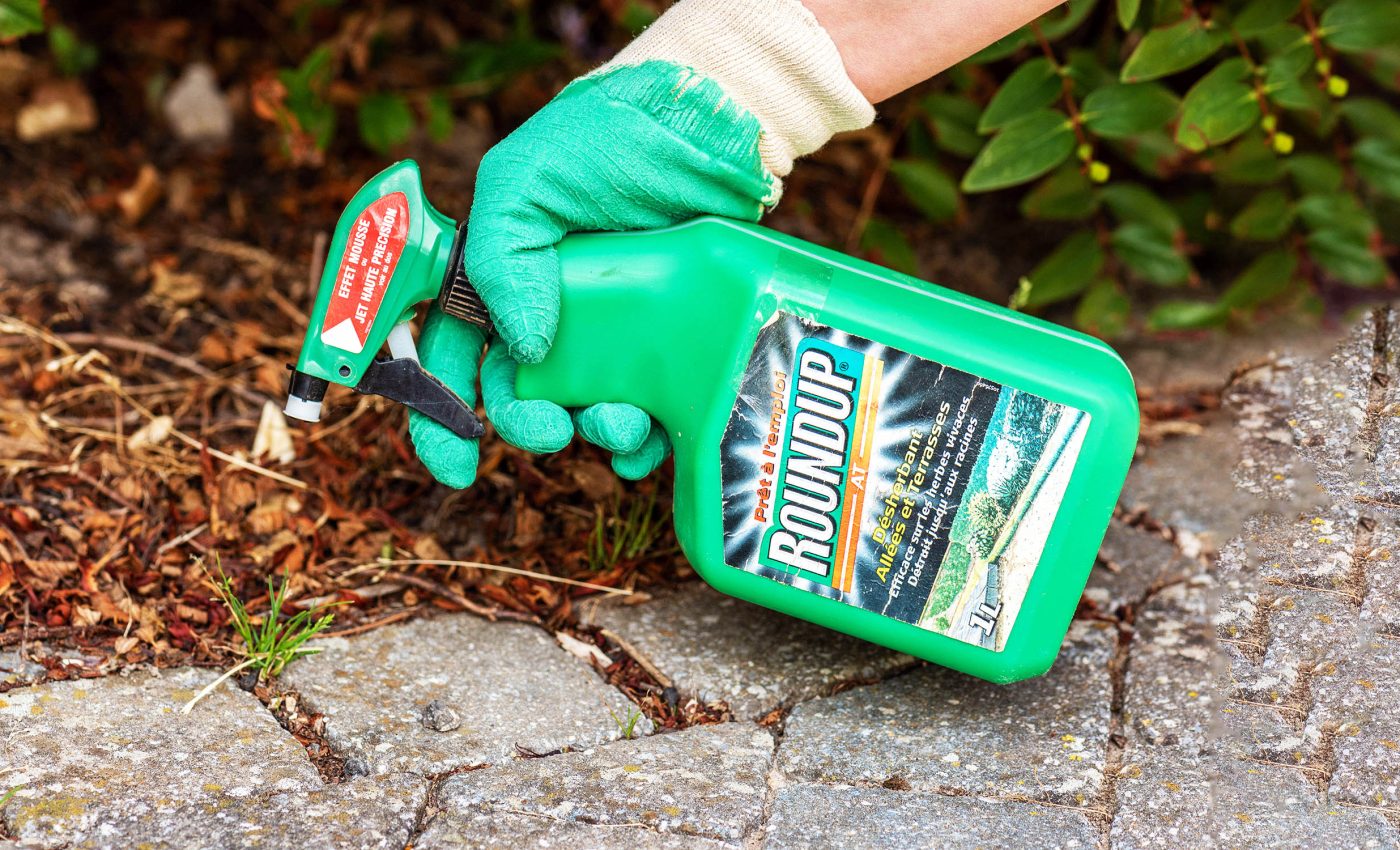 Common weed-killing herbicide linked to brain issues and cognitive decline