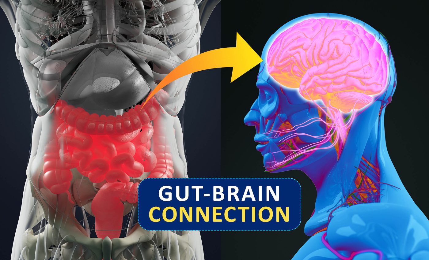 Drugs targeting gut cells for depression and anxiety work better than those targeting brain cells