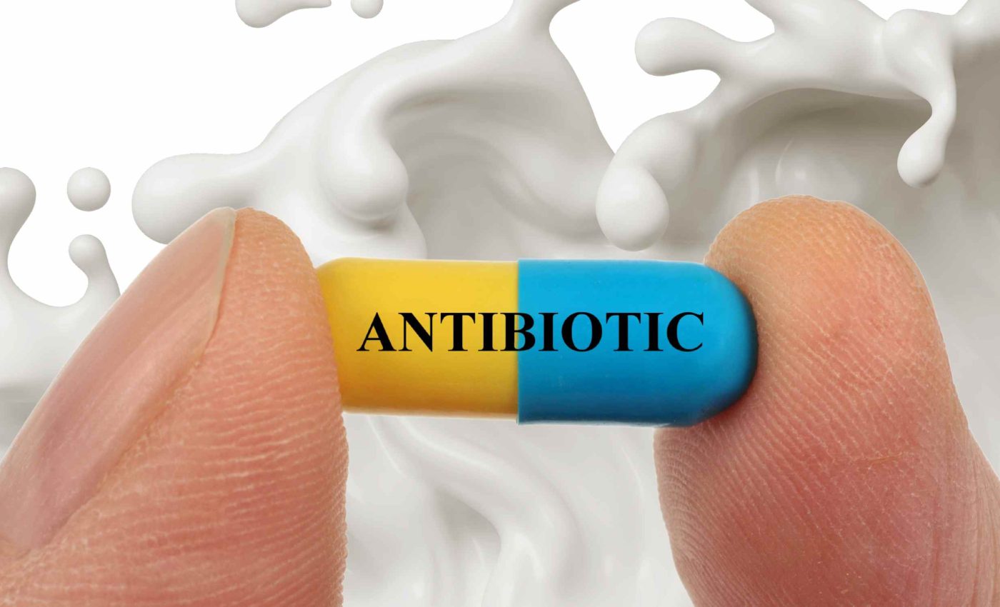 Innovative sensor detects hidden antibiotic residues in milk and honey