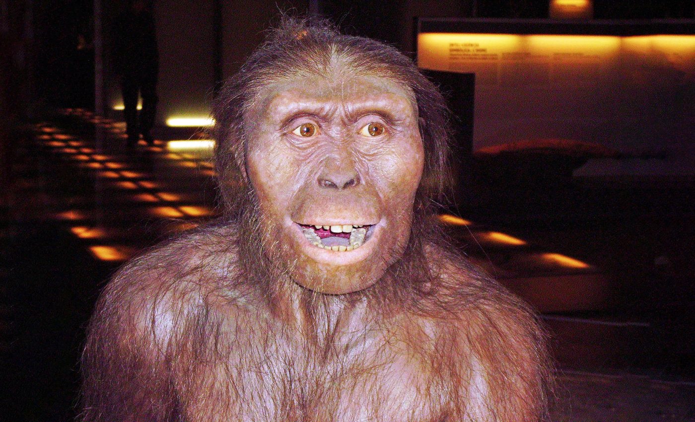 Lucy could barely run - what does that say about our ancestors?