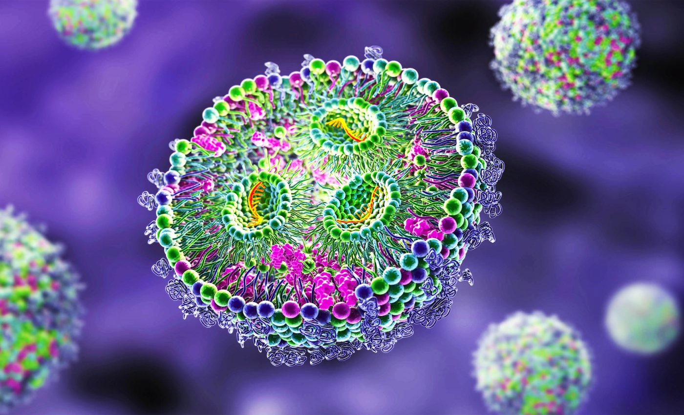 New forms of life discovered inside human bodies