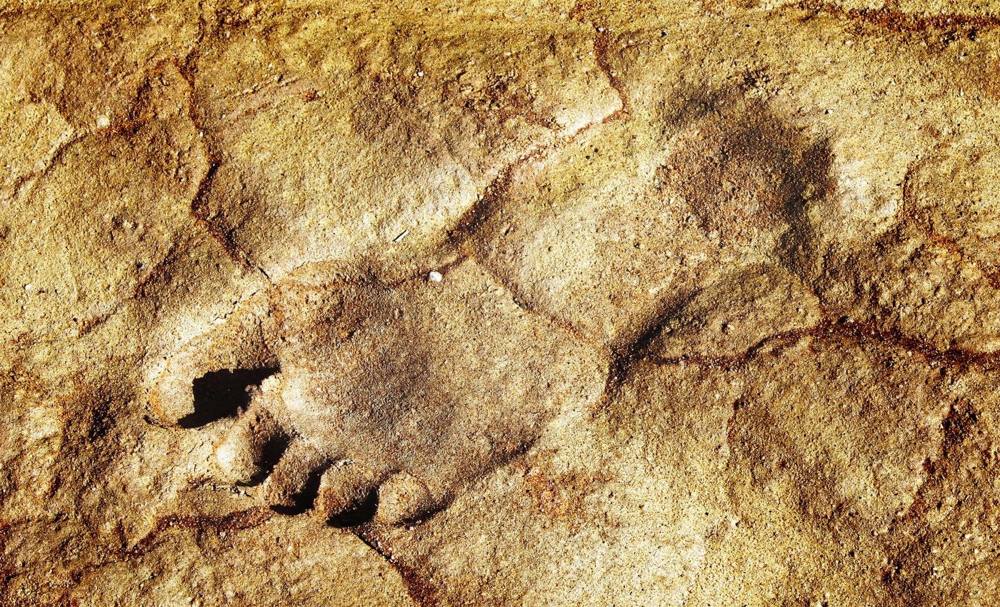 115,000-year-old human footprints found in a location where they should not be