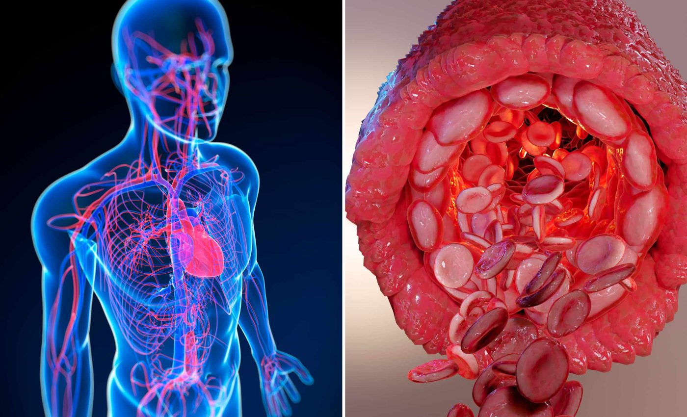 Rare genetic mutation has given rise to a new human blood group, identified after 50 years
