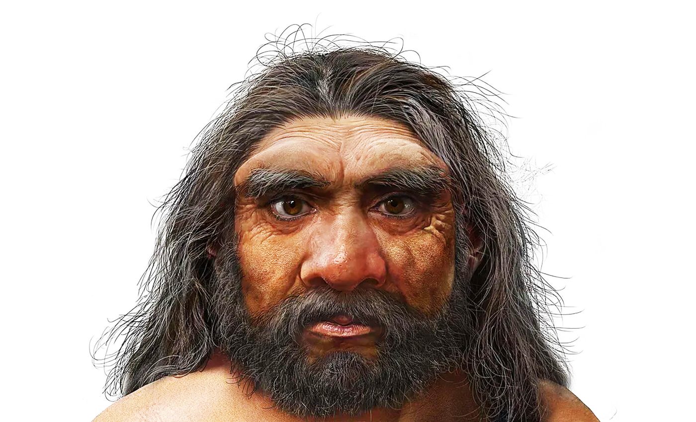 Recreating the face of 'Dragon Man,' an ancient human cousin