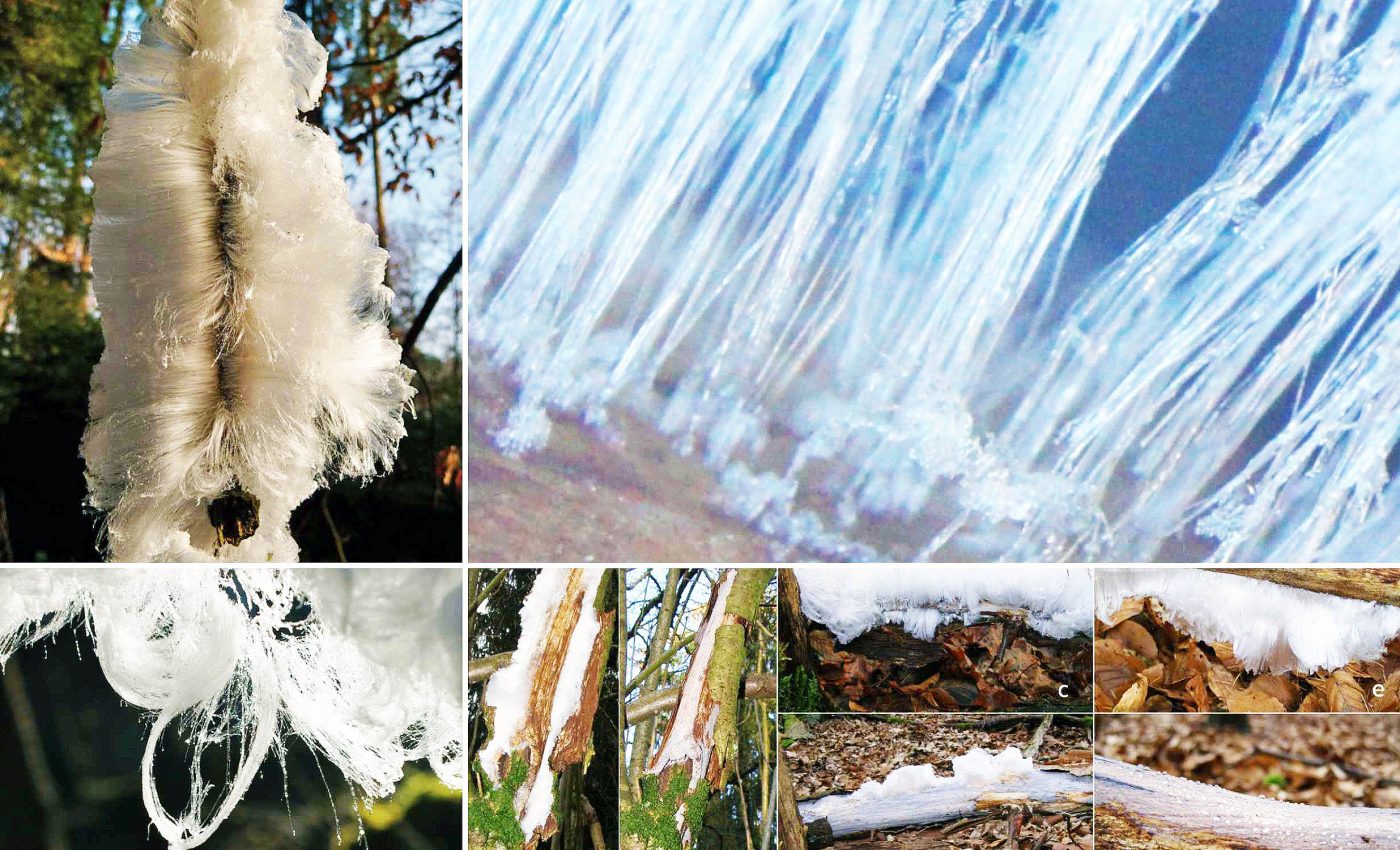 Rare 'frost beard' ice formation discovered by a hiker