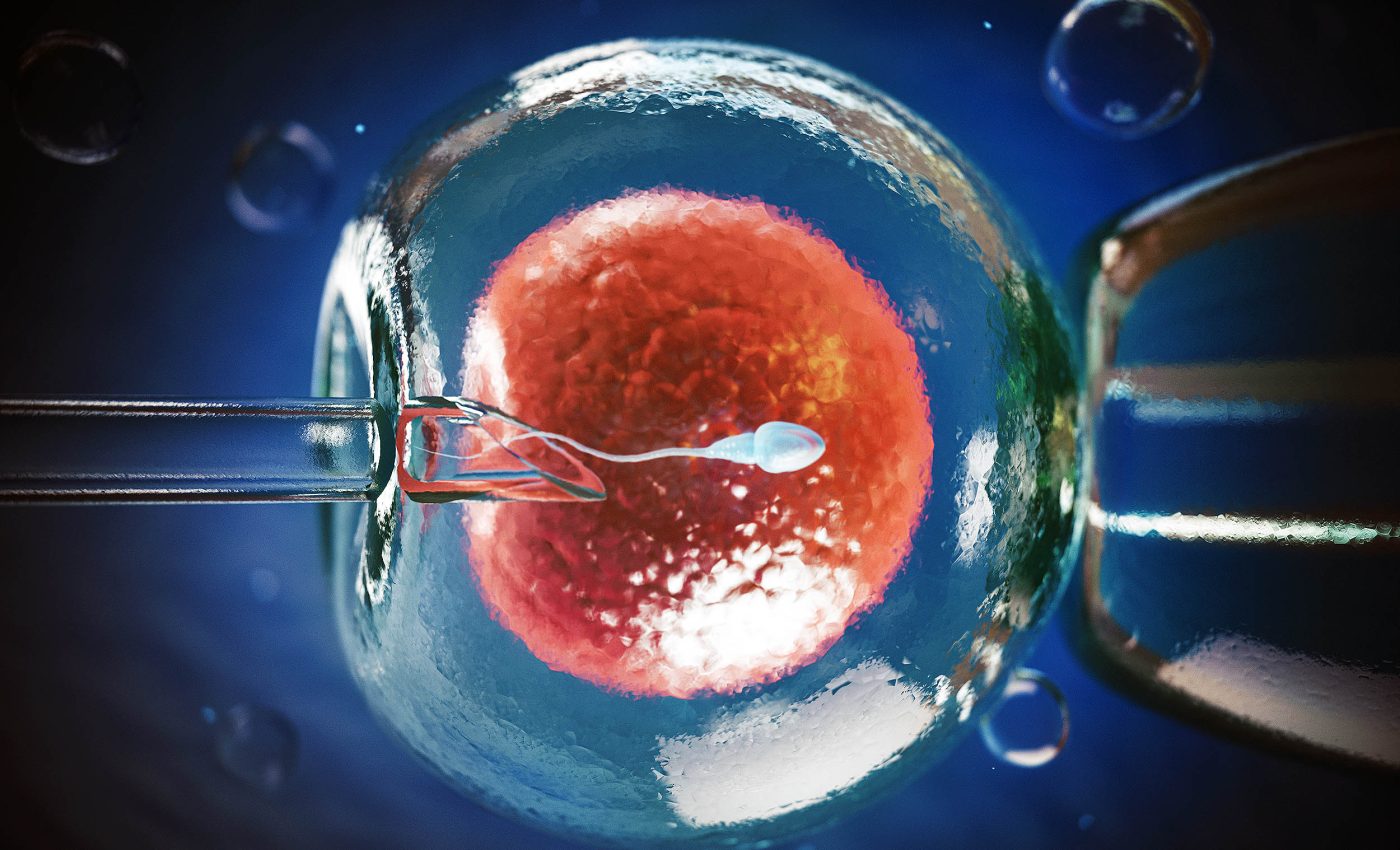 Mouse with two dads survives to adulthood,  major implications for same-sex human couples