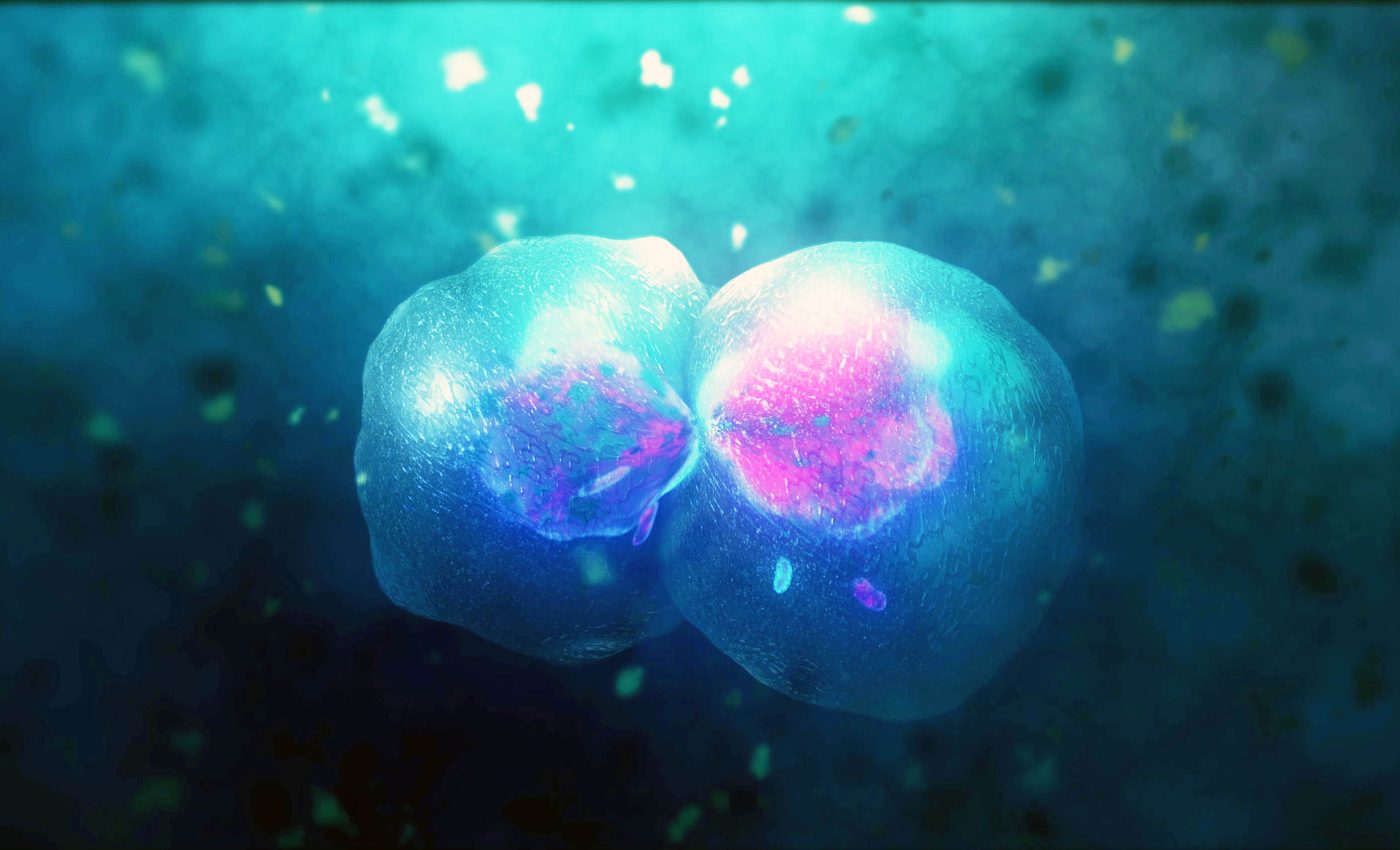Breakthrough: Cancer cells have a molecular 'switch' that could be rewired to behave normally