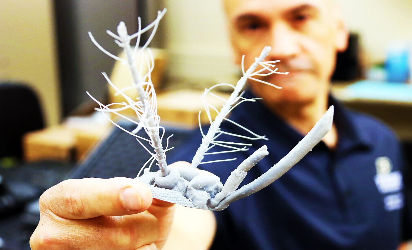 Mosquito antennae inspire next-gen natural disaster sensors