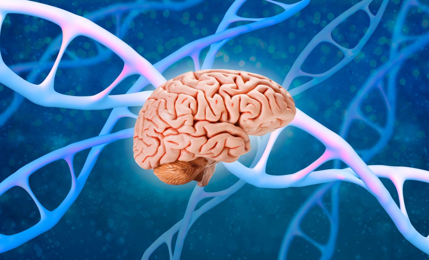 DNA changes supercharged the human brain - but at a cost