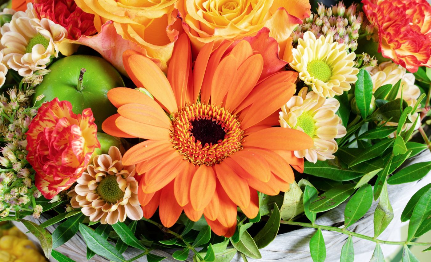 Flowers get their shape and scent from a single gene