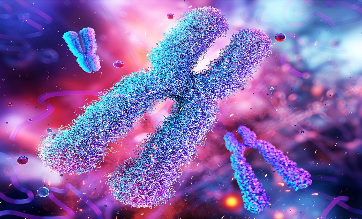 Exposure to violence alters human genetics for future generations